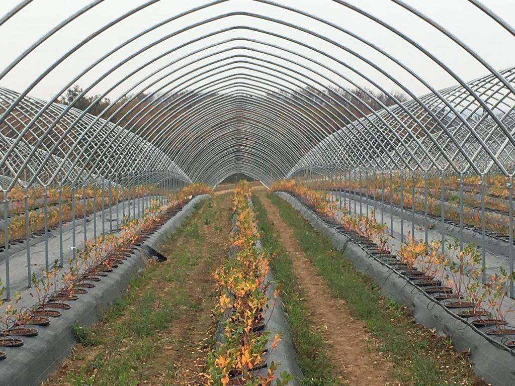 Pohled podél lodi blokového tunelu s borůvkami