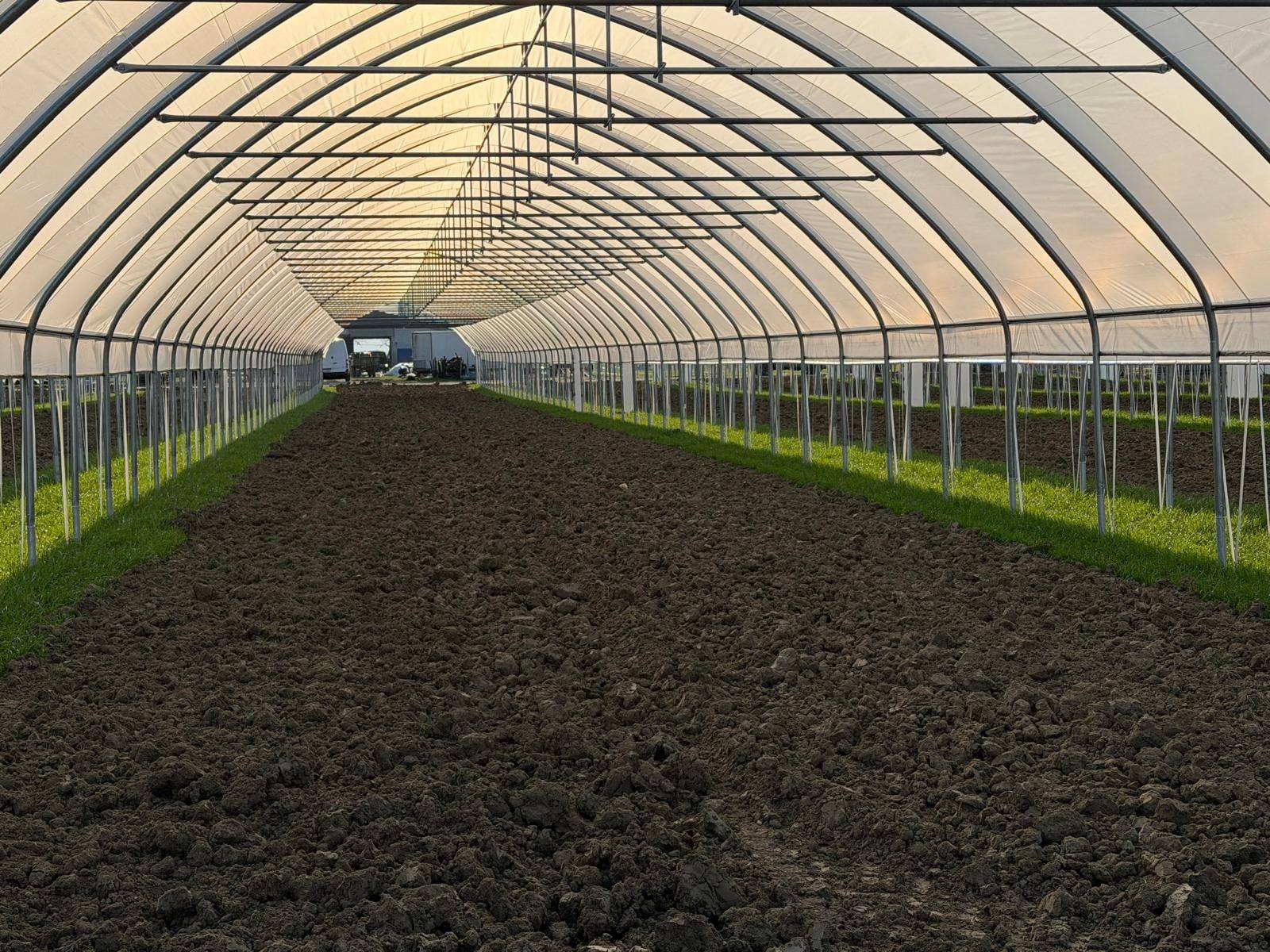 Interiér samostatného tunelu s připravenou půdou pro maliny