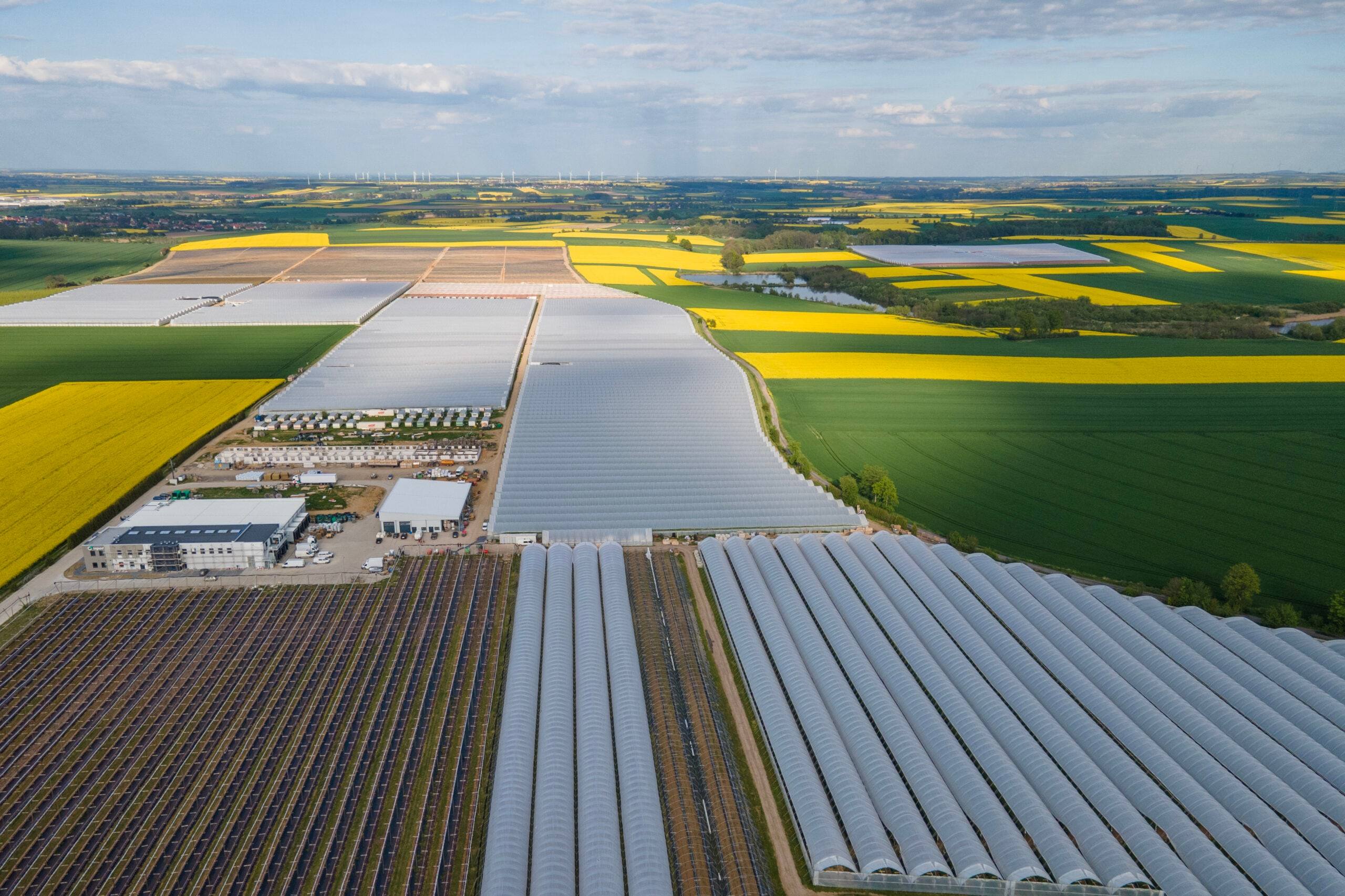 Blokové tunely nad plantáží malin z ptačí perspektivy