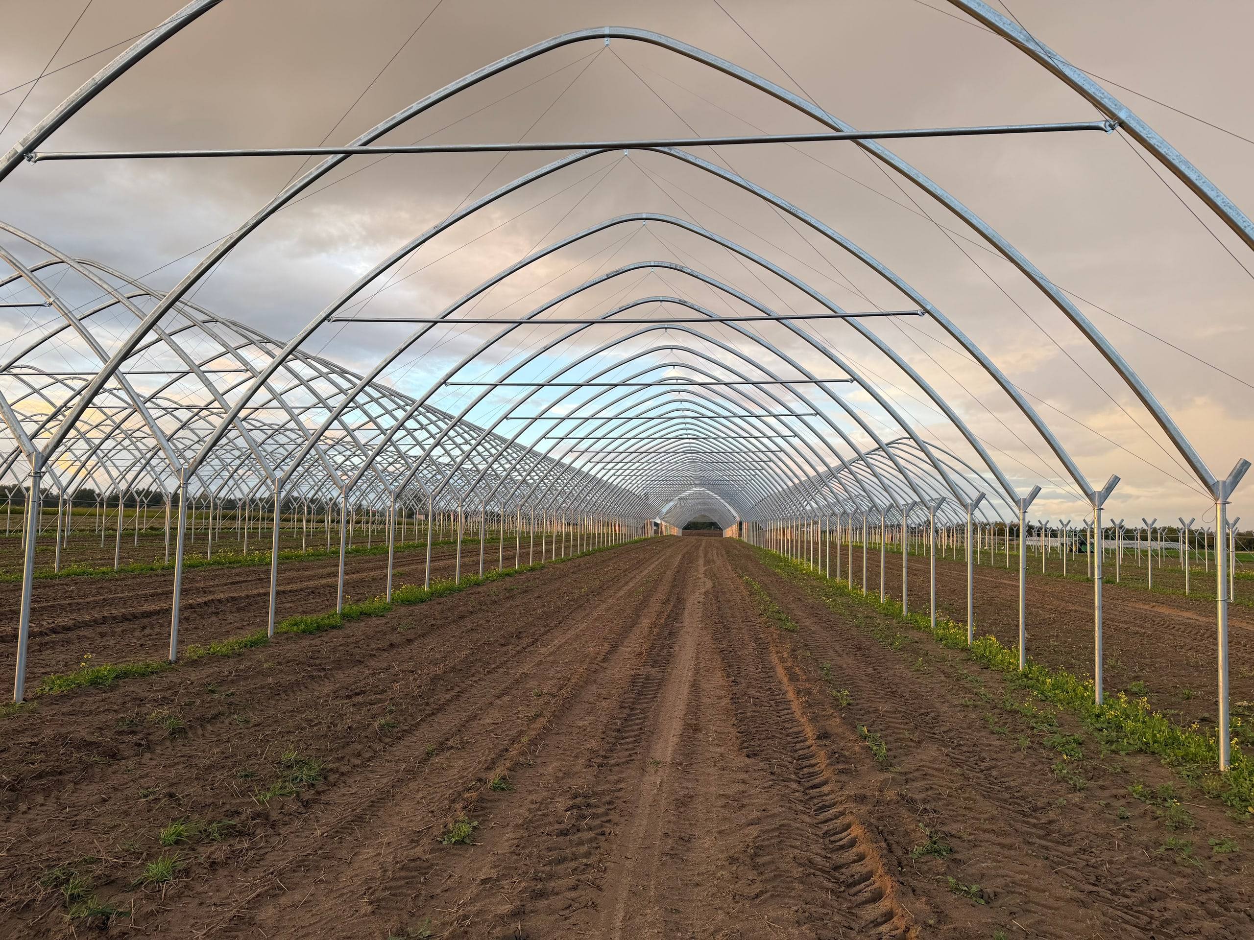 Loď blokového tunelu s nohami se spojkami Y