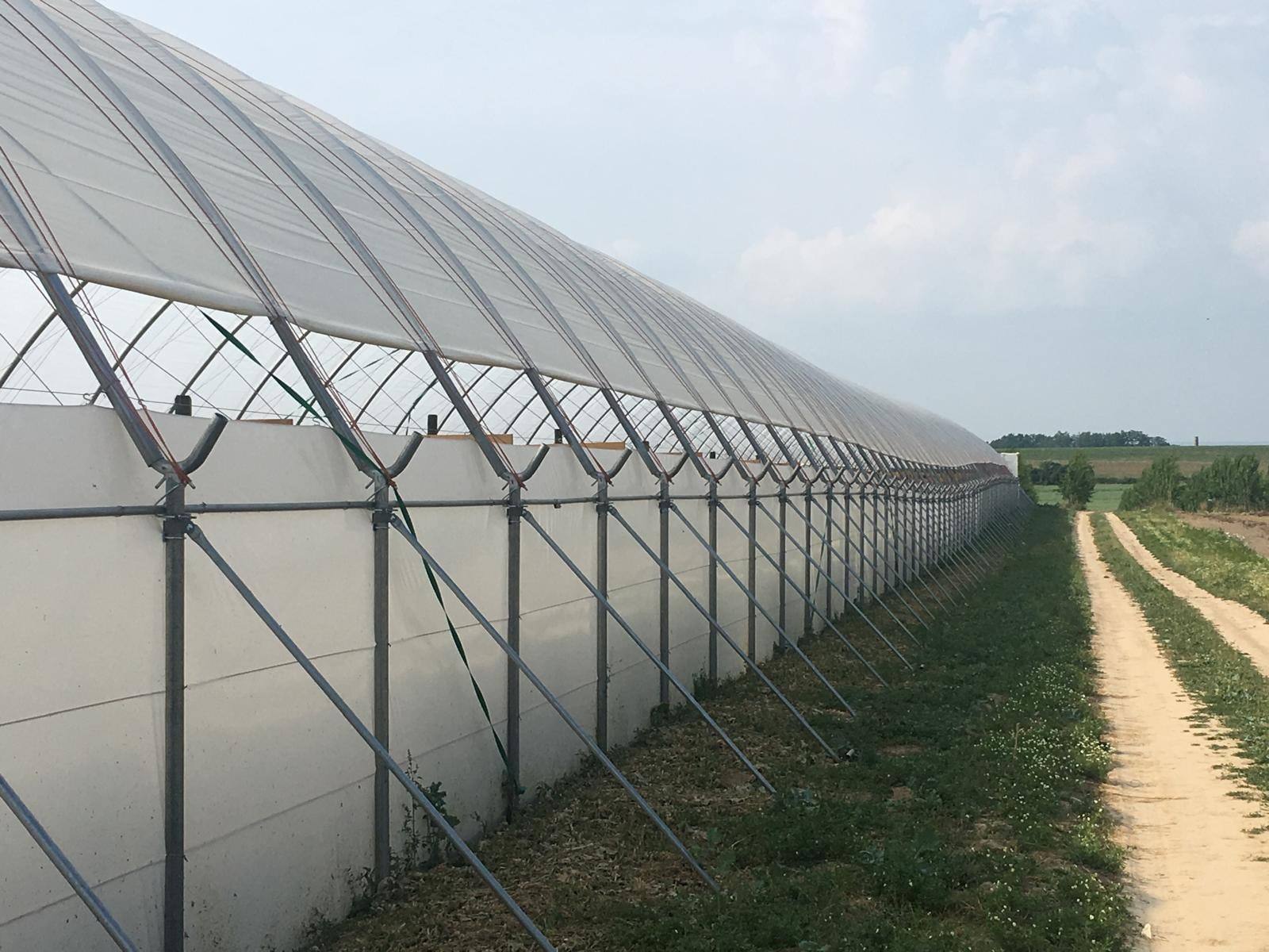 Dlouhá boční stěna fóliovníku s nohami, spojkami Y a vzpěrami