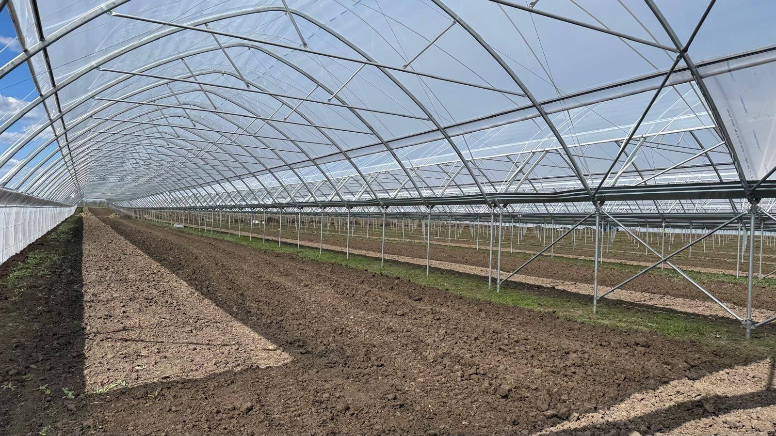Interiér blokového tunelu — řada noh a žlab mezi loděmi nad připravenou půdou